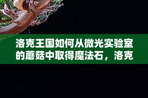 洛克王国如何从微光实验室的蘑菇中取得魔法石，洛克王国微光实验室的蘑菇探索指南
