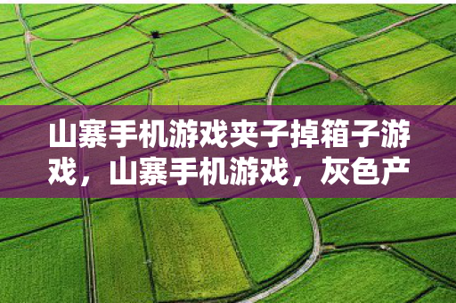 山寨手机游戏夹子掉箱子游戏，山寨手机游戏，灰色产业链下的灰色生意