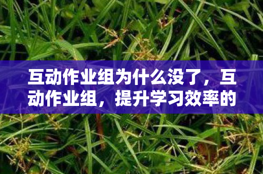 互动作业组为什么没了，互动作业组，提升学习效率的利器