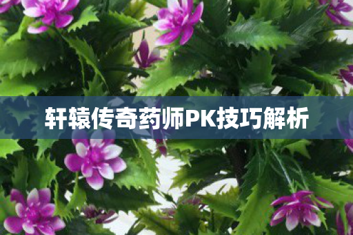 轩辕传奇药师PK技巧解析