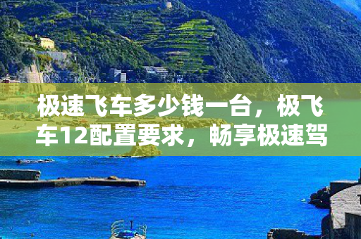 极速飞车多少钱一台，极飞车12配置要求，畅享极速驾驶体验