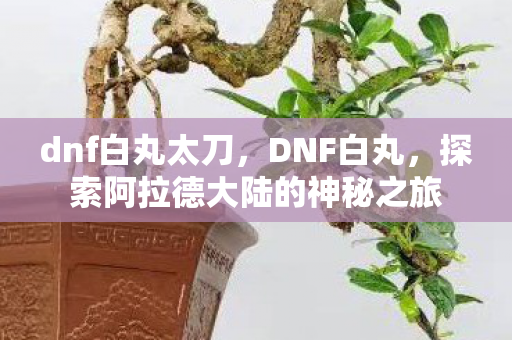 dnf白丸太刀，DNF白丸，探索阿拉德大陆的神秘之旅