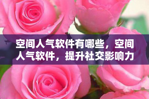 空间人气软件有哪些，空间人气软件，提升社交影响力的秘密武器