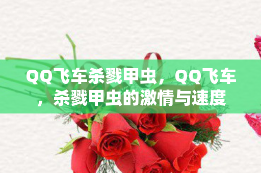 QQ飞车杀戮甲虫，QQ飞车，杀戮甲虫的激情与速度