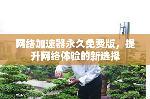 网络加速器永久免费版，提升网络体验的新选择