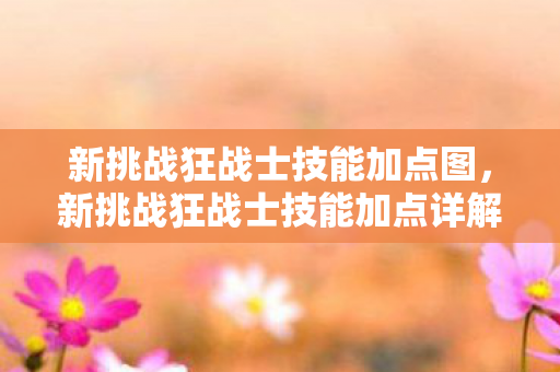 新挑战狂战士技能加点图，新挑战狂战士技能加点详解