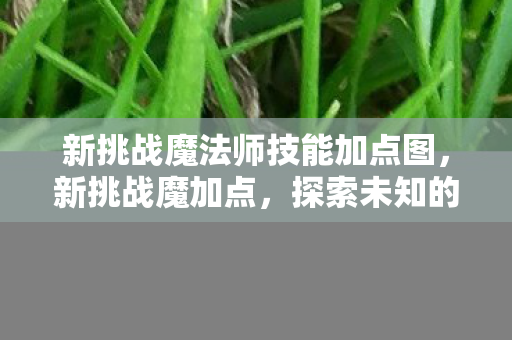 新挑战魔法师技能加点图，新挑战魔加点，探索未知的游戏策略与战术