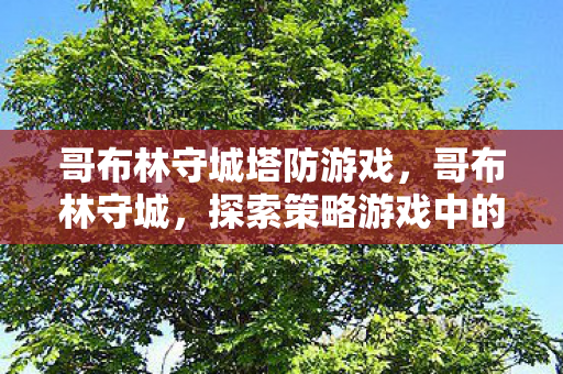 哥布林守城塔防游戏，哥布林守城，探索策略游戏中的经典防御战