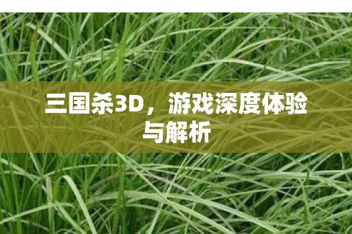 三国杀3D，游戏深度体验与解析
