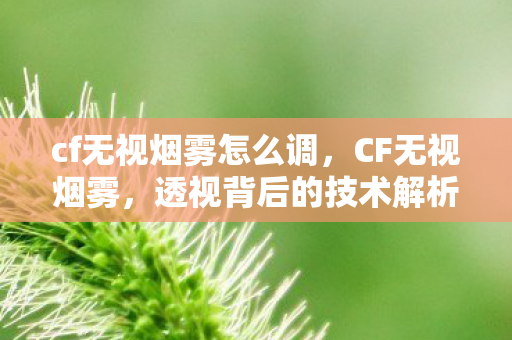 cf无视烟雾怎么调,CF无视烟雾,透视背后的技术解析与游戏影响 cf无视烟雾怎么调,CF无视烟雾,透视背后的技术解析与游戏影响