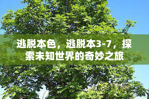 逃脱本色，逃脱本3-7，探索未知世界的奇妙之旅