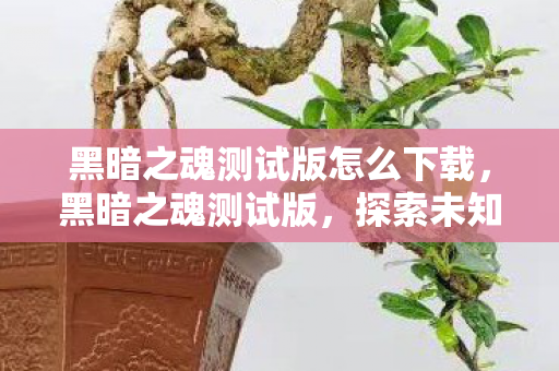 黑暗之魂测试版怎么下载，黑暗之魂测试版，探索未知世界的冒险之旅