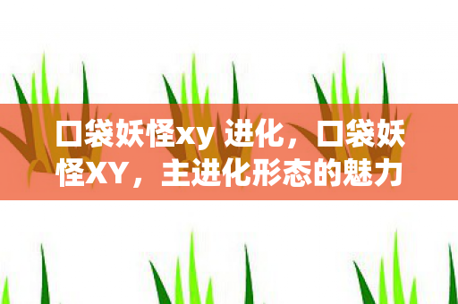 口袋妖怪xy 进化，口袋妖怪XY，主进化形态的魅力探索