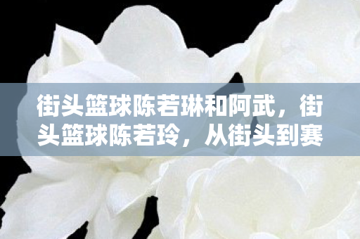 街头篮球陈若琳和阿武，街头篮球陈若玲，从街头到赛场的华丽蜕变