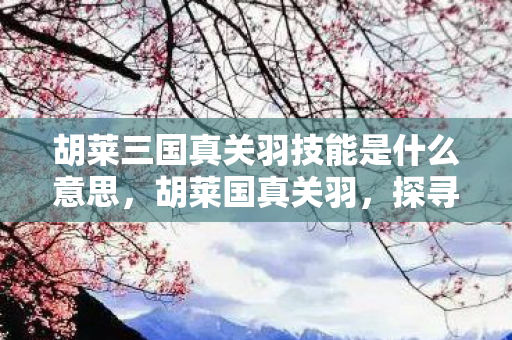 胡莱三国真关羽技能是什么意思,胡莱国真关羽,探寻历史与游戏中的忠勇之魂 胡莱三国真关羽技能是什么意思,胡莱国真关羽,探寻历史与游戏中的忠勇之魂