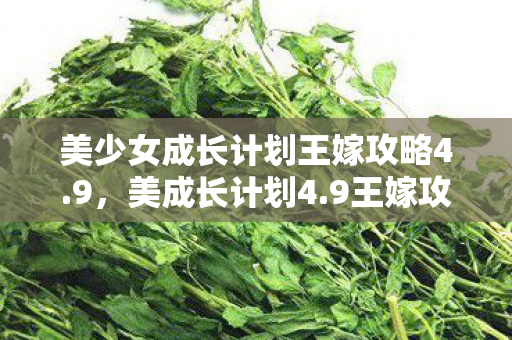 美少女成长计划王嫁攻略4.9，美成长计划4.9王嫁攻略