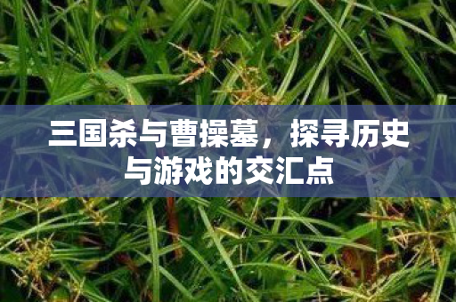 三国杀与曹操墓，探寻历史与游戏的交汇点