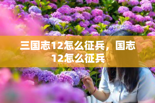 三国志12怎么征兵,国志12怎么征兵 三国志12怎么征兵,国志12怎么征兵