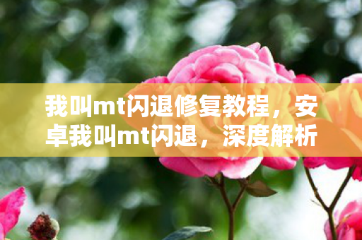 我叫mt闪退修复教程，安卓我叫mt闪退，深度解析与解决方案