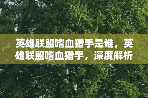 英雄联盟嗜血猎手是谁，英雄联盟嗜血猎手，深度解析角色背景与游戏策略