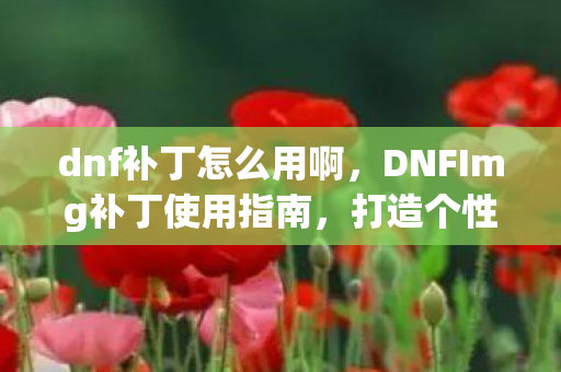 dnf补丁怎么用啊,DNFImg补丁使用指南,打造个性化游戏体验 dnf补丁怎么用啊,DNFImg补丁使用指南,打造个性化游戏体验