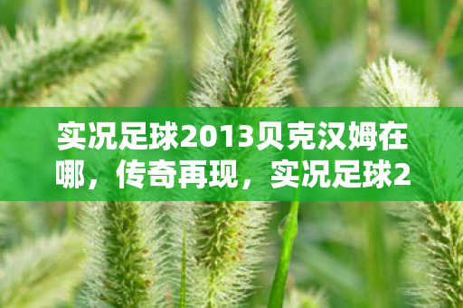 实况足球2013贝克汉姆在哪,传奇再现,实况足球2013中的贝克汉姆 实况足球2013贝克汉姆在哪,传奇再现,实况足球2013中的贝克汉姆