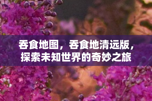 吞食地图，吞食地清远版，探索未知世界的奇妙之旅