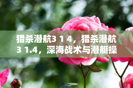 猎杀潜航3 1 4，猎杀潜航3 1.4，深海战术与潜艇操作的完美融合
