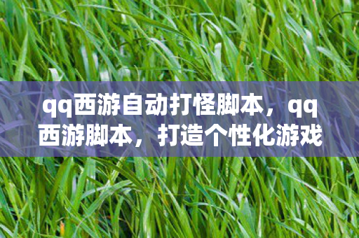 qq西游自动打怪脚本，qq西游脚本，打造个性化游戏体验