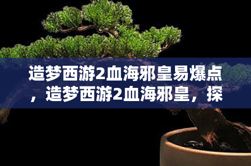 造梦西游2血海邪皇易爆点，造梦西游2血海邪皇，探索未知世界的奇幻之旅
