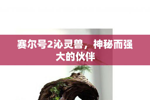 赛尔号2沁灵兽，神秘而强大的伙伴