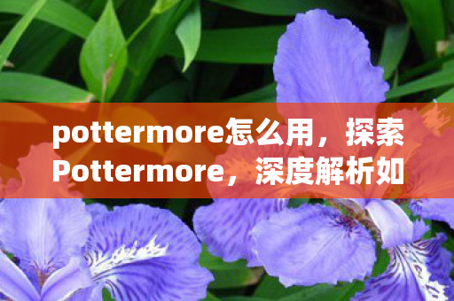 pottermore怎么用，探索Pottermore，深度解析如何玩转魔法世界
