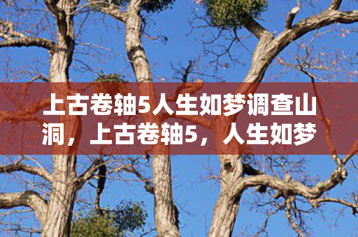 上古卷轴5人生如梦调查山洞,上古卷轴5,人生如梦,探索无限可能的奇幻世界 上古卷轴5人生如梦调查山洞,上古卷轴5,人生如梦,探索无限可能的奇幻世界
