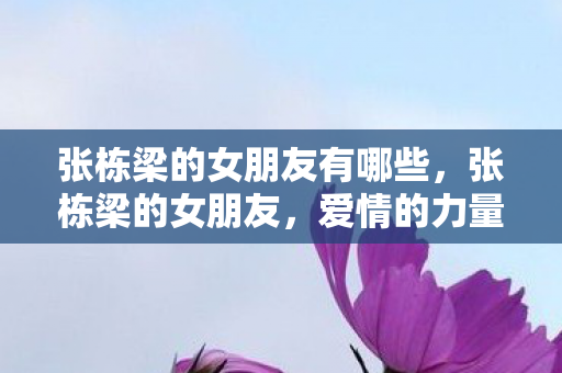 张栋梁的女朋友有哪些，张栋梁的女朋友，爱情的力量与成长