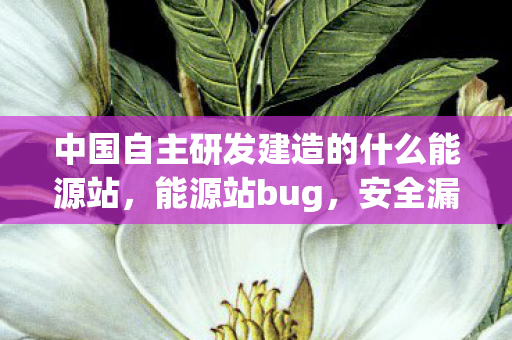 中国自主研发建造的什么能源站，能源站bug，安全漏洞与运维挑战的深度剖析