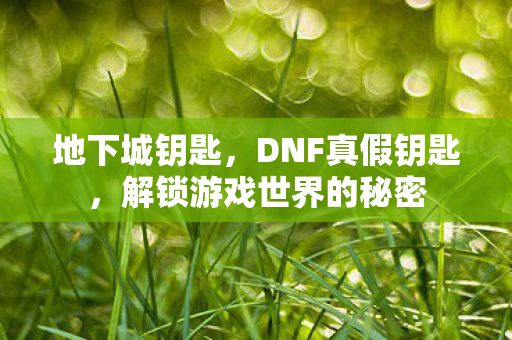 地下城钥匙，DNF真假钥匙，解锁游戏世界的秘密