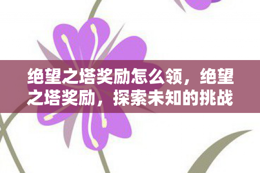 绝望之塔奖励怎么领，绝望之塔奖励，探索未知的挑战与丰厚回报