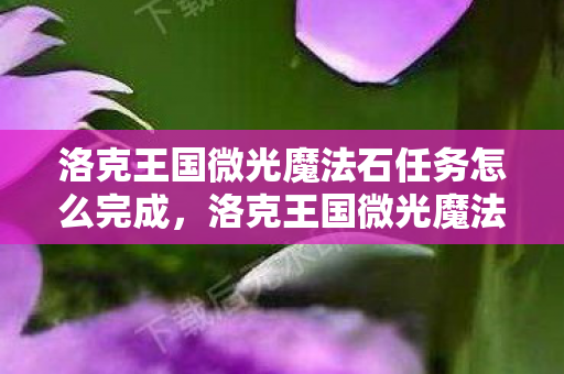 洛克王国微光魔法石任务怎么完成，洛克王国微光魔法石任务，探索神秘世界的奇妙之旅