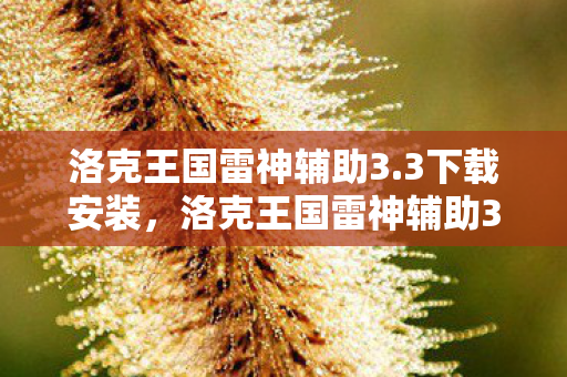 洛克王国雷神辅助3.3下载安装,洛克王国雷神辅助3.3下载体验分享 洛克王国雷神辅助3.3下载安装,洛克王国雷神辅助3.3下载体验分享