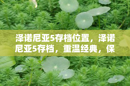 泽诺尼亚5存档位置,泽诺尼亚5存档,重温经典,保存你的冒险旅程 泽诺尼亚5存档位置,泽诺尼亚5存档,重温经典,保存你的冒险旅程