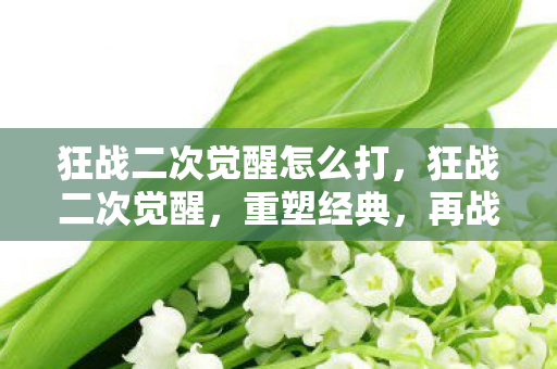 狂战二次觉醒怎么打,狂战二次觉醒,重塑经典,再战巅峰 狂战二次觉醒怎么打,狂战二次觉醒,重塑经典,再战巅峰