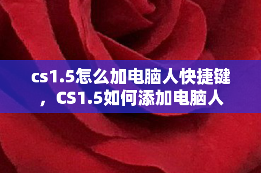 cs1.5怎么加电脑人快捷键,CS1.5如何添加电脑人 cs1.5怎么加电脑人快捷键,CS1.5如何添加电脑人