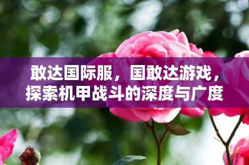 敢达国际服，国敢达游戏，探索机甲战斗的深度与广度