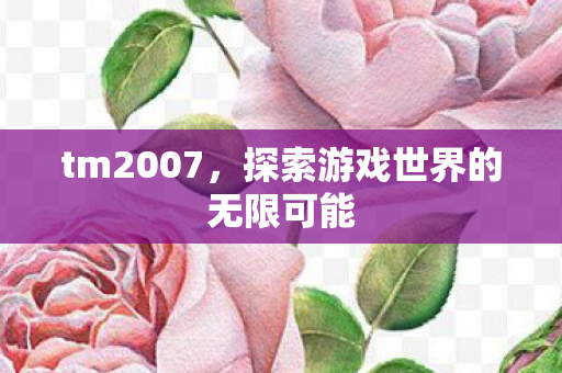 tm2007,探索游戏世界的无限可能 tm2007,探索游戏世界的无限可能