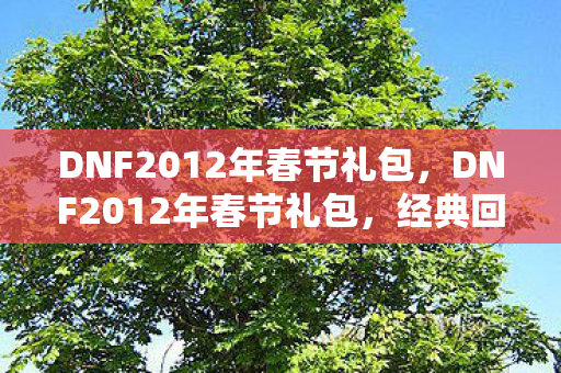 DNF2012年春节礼包，DNF2012年春节礼包，经典回忆与游戏文化的传承