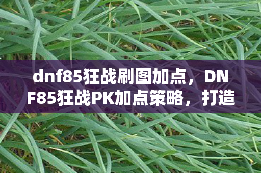 dnf85狂战刷图加点,DNF85狂战PK加点策略,打造无敌战斗体验 dnf85狂战刷图加点,DNF85狂战PK加点策略,打造无敌战斗体验