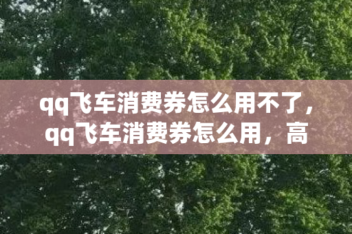 qq飞车消费券怎么用不了，qq飞车消费券怎么用，高效利用，玩转飞车世界