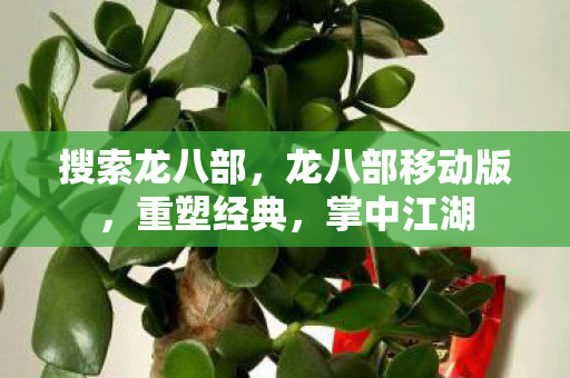 搜索龙八部,龙八部移动版,重塑经典,掌中江湖 搜索龙八部,龙八部移动版,重塑经典,掌中江湖