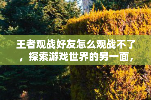 王者观战好友怎么观战不了,探索游戏世界的另一面,私服与官方服务器的独特魅力 王者观战好友怎么观战不了,探索游戏世界的另一面,私服与官方服务器的独特魅力
