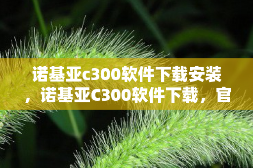诺基亚c300软件下载安装,诺基亚C300软件下载,官方渠道与资源获取指南 诺基亚c300软件下载安装,诺基亚C300软件下载,官方渠道与资源获取指南